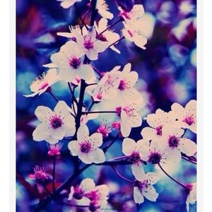 Meet your Posher, Joella